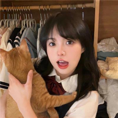 狐狸猎手封面